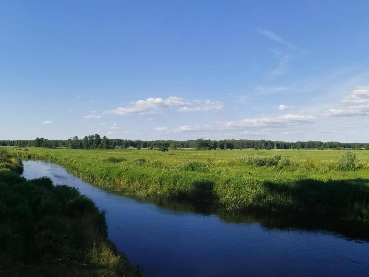 Przystanek Trzescianka