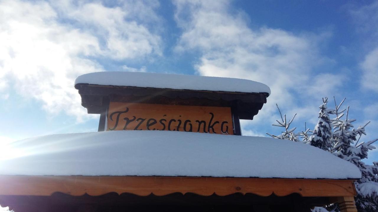 Apartment Przystanek