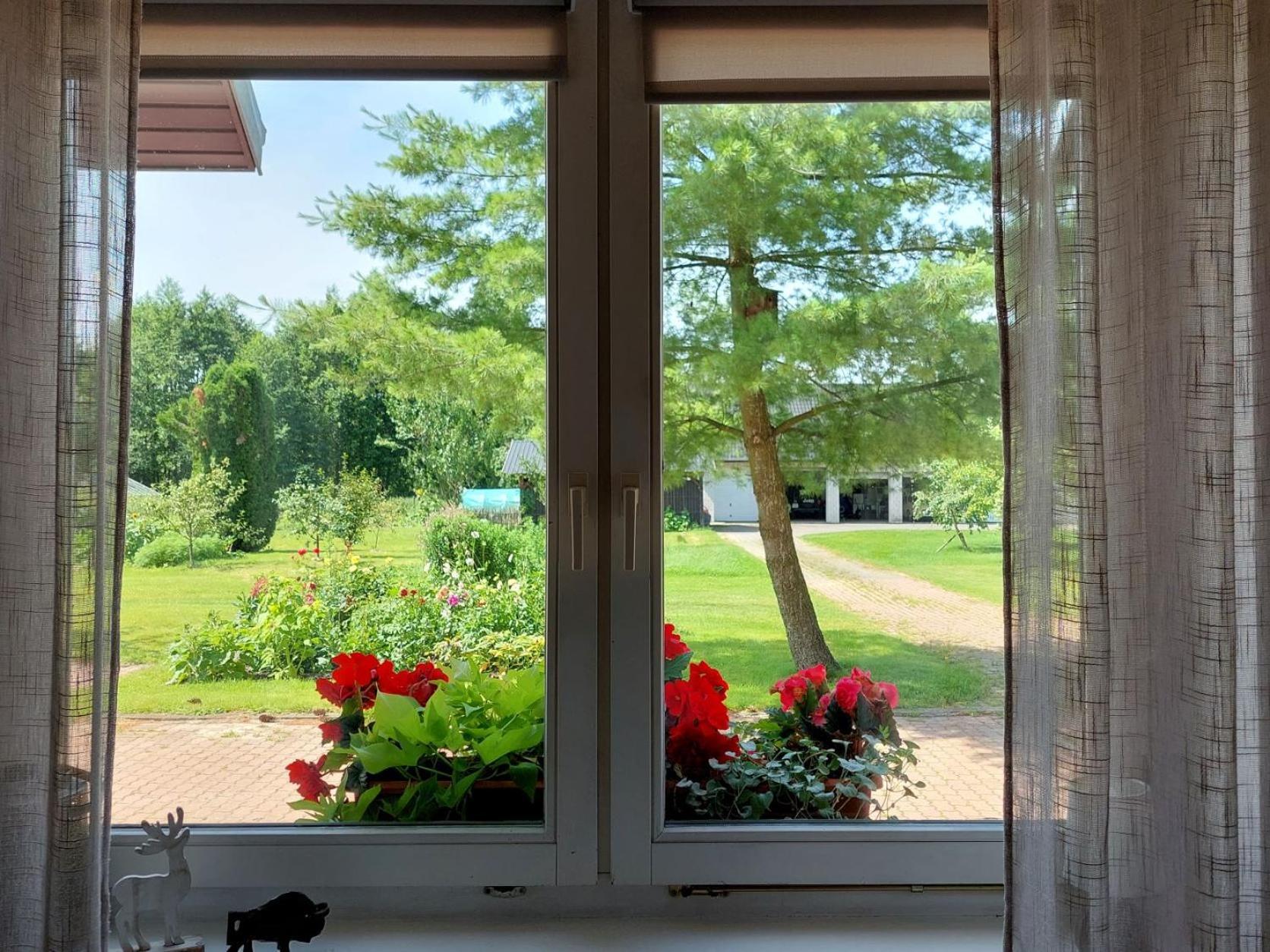 Przystanek Apartment
